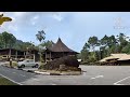 giant flower rafflesia the world`s largest flower in lundu forest never missed