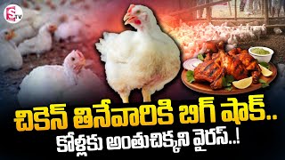 చికెన్ తినేవారికి బిగ్ షాక్.. || Latest Telugu || Bad News for Chicken Lovers @sumantvmahabubabad  ​