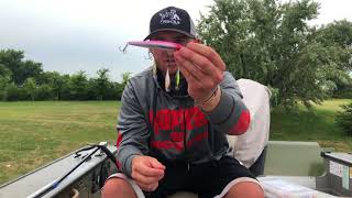 Fall Walleye Fishing with Shallow Crankbaits: Part 2-Husky Jerk vs Shallow Shad Rap