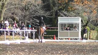 2014.12.21　第50回全日本馬術女子選手権大会　決勝（馬場）　安藝知世・海泰号