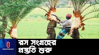 চুয়াডাঙ্গার খেজুরগুড়ের চাহিদা রয়েছে সারা দেশেই || Chuadanga | Date Tree