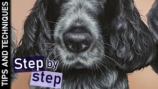 How to paint fur in acrylics | Step by step Spaniel ear tutorial