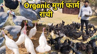 रांची में देसी मुर्गा और फोरेन मुर्गा का ऑर्गेनिक खेती | Organic Murgi Form | @jharkhandibhukkad