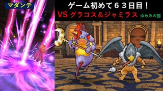 【ドラクエウォーク】ゲーム初めて６３日目！ゆめみの館のグラコス＆ジャミラス コンビと戦ってみた！ 想像以上に強くて、マダンテ使用してギリギリでした。