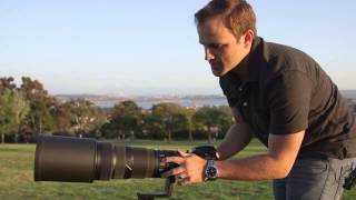 Review of Nikon 500mm f4 Lens - AKA THE BEAST