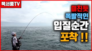 원줄까지 시원하게 가져가는 여서도 2부 대물 긴꼬리벵에돔 마릿수 대폭팔!!!(fishing,メジナ,オナガ)