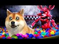 DogBerg jogando FNAF no ROBLOX