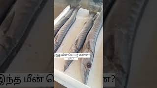 Fish#video#in#saudi arebia #fish market #like #and sabscribe 👍