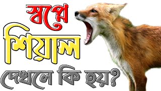 স্বপ্নে শিয়াল দেখলে কি হয় | sopne shiyal dekhle ki hoy | shopne ki dekhle ki hoy |