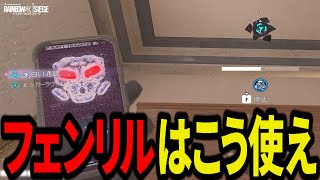 新オペ「フェンリル」の強い使い方を思いついてしまった - R6S