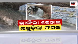 Kalahandi Indravati Canal | ପୁଣି ଭାଙ୍ଗିଲା ଇନ୍ଦ୍ରାବତୀ ବାମ କେନାଲ | Kalahandi News | Odia News