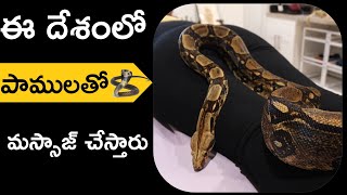 ఈ దేశంలో పాములతో మస్సాజ్ చేస్తారు #shorts  || amazing interesting facts || KL UnKnown Facts