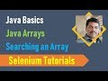 22G. Java Basics for Selenium - Java Arrays - Searching an Array