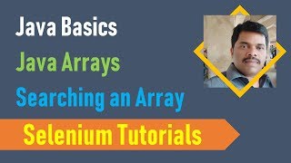 22G. Java Basics for Selenium - Java Arrays - Searching an Array