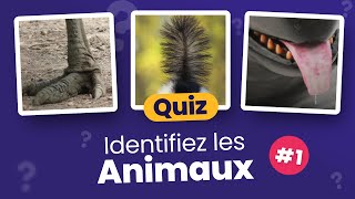 QUIZ : Devinez les Animaux en Photos #1