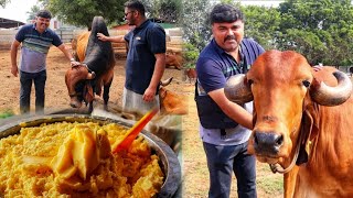 சீலப்பாடி நாட்டு மாடு நெய் காய்ச்சி ருசி பாக்கலாம் வாங்க !!! | Rishi Dairy Farms