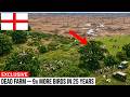 England Released Wild Animals Into This Dead Farm: The 25-Year Result Is Unbelievable!