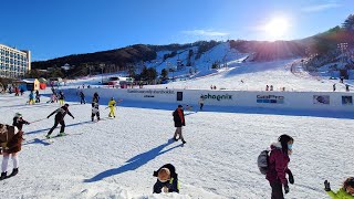 [4K] Phoenix Snow Park Walking Tour - Visit the Pyeongchang Winter Olympic Ski R