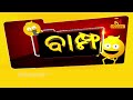 bampha episode 115 part 3 ବିଶେଷ ଧରଣର ଖାଦ୍ୟ kunatripathy