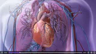 内呼吸三维立体动画演示 #人体解剖学3D animation demonstration of inner breathing #HumanAnatomy