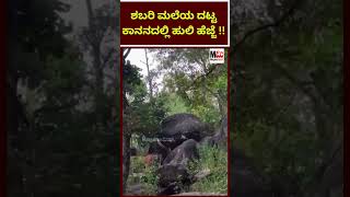 ಶಬರಿಮಲೆಯ ದಟ್ಟ ಕಾನನದಲ್ಲಿ ಹುಲಿ ಹೆಜ್ಜೆ..!! #shabarimala #tiger #ayyappa  #ayyappan #ayyappaswamy