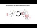 could inflammation be important to parkinson’s dr sally cowley