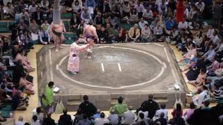 4K 大相撲五月場所　九日目　千代大龍/旭秀鵬　sumo