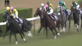 2016.11.13 Queen Elizabeth II Cup (JPN) - Queens Ring