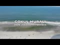 Gokul Murali - Drone Portfolio