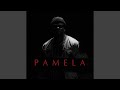 PAMELA