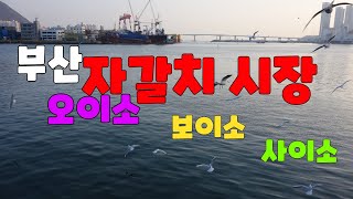 #2023 1 7   South Korea 영도다리와 자갈치 시장 동영상   #맨 손 밖에 없는 피난민들이 먹거리를 찾아 헤메이던 부산 자갈치 시장   ㅡ 조용한 여행 ㅡ