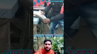 দেখে নিন কান্ড #shortvideo #funny