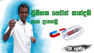 Science |Grade 08 |W.C.K.Munasinghe |චුම්භක හෙවත් කාන්දම් ගැන දැනගමු- Episode 06