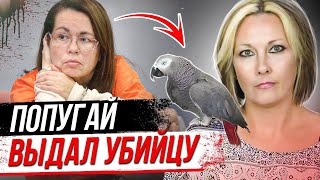 Неожиданный свидетель помог раскрыть дело! История Мартина Дюрама