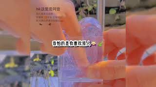 我怕你喜欢别人🕯️💧