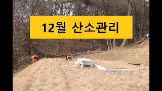 12월 산소관리를 진행하고 있어요(2022.12月)