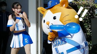 超かわいい！スターマンの風船チャレンジ🐹 【横浜DeNAベイスターズ 2024/9/15】