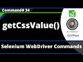 getCssValue() Command - Selenium WebDriver