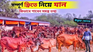 পশ্চিমবঙ্গের এরকম উদ্যোগ প্রথমবার || দেশি গাভীতে 30 লিটার দুধ দিতে পারে || dairy farm in Bankura