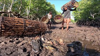 Pinakamalalaking Trap na Pang alimango or mud Crabs Catch & Sell