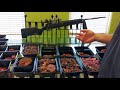 Pro-Cut #22 KG-22-W Best Commercial Meat Grinder Homemade Dog Food