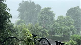 ਤੇਜ਼ ਮੀਂਹ very fast rain 🌧️ 11/8/2024