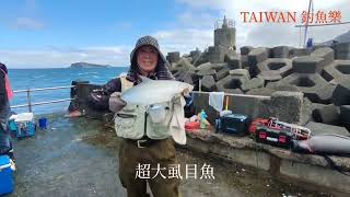 TAIWAN 釣魚樂-Milkfish你釣我釣大家釣-你爽我爽大家拉爽爽釣虱目魚#臺灣釣魚 #臺灣旅遊 #臺灣美食