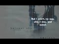 harvest sky feat. underscores oklou feat. underscores lyric video