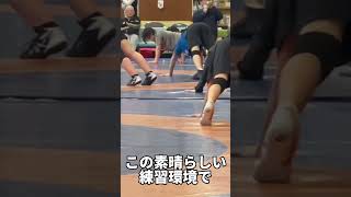 【あと70日】春休みも毎日ハードな練習！頑張れ！【全中】#レスリング #wrestling #トレーニング #トレーニング