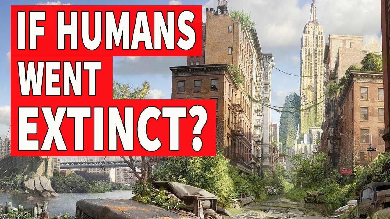 What Would Happen If Humans Went Extinct Youtube