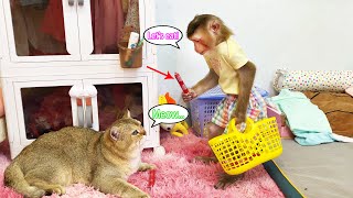 Monkey Lyly hurried to buy food for cat Tommy because she thought he was hungry.