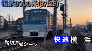 [夕焼け❗️] 相鉄線 相鉄8000系(8712F) 踏切通過シーン