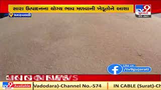 Aravalli: Sale of wheat begins in Modasa APMC | tv9gujaratinews