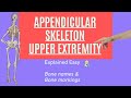 Appendicular Skeleton Anatomy Part 1| Upper Extremity #skeleton #bones